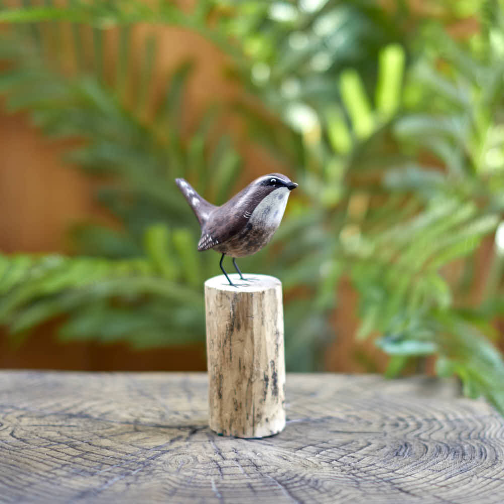 Wren on a Stump