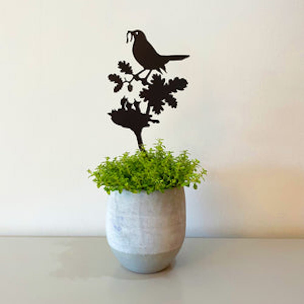 Blackbird Feeding its Young Pot Stem