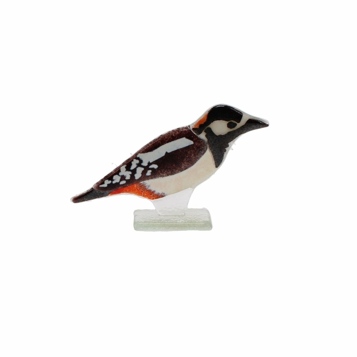 Glass Spotted Woodpecker