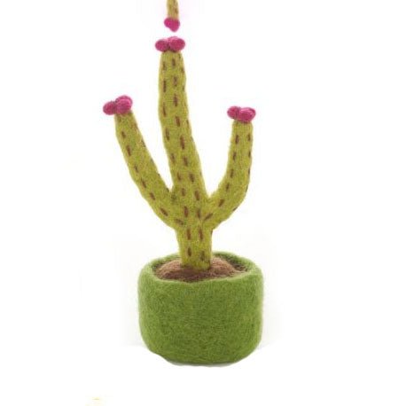 Mini Cactus Decorations, Assorted