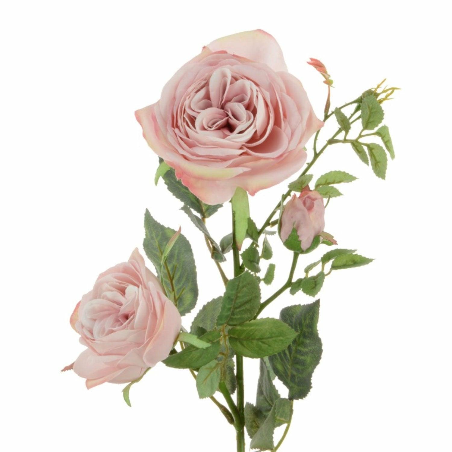 Rose Spray, Pink