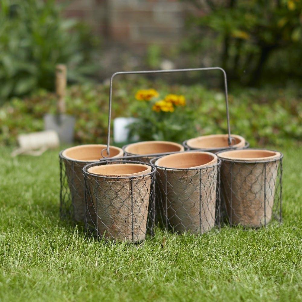 Set of 6 Small Pots in Basket