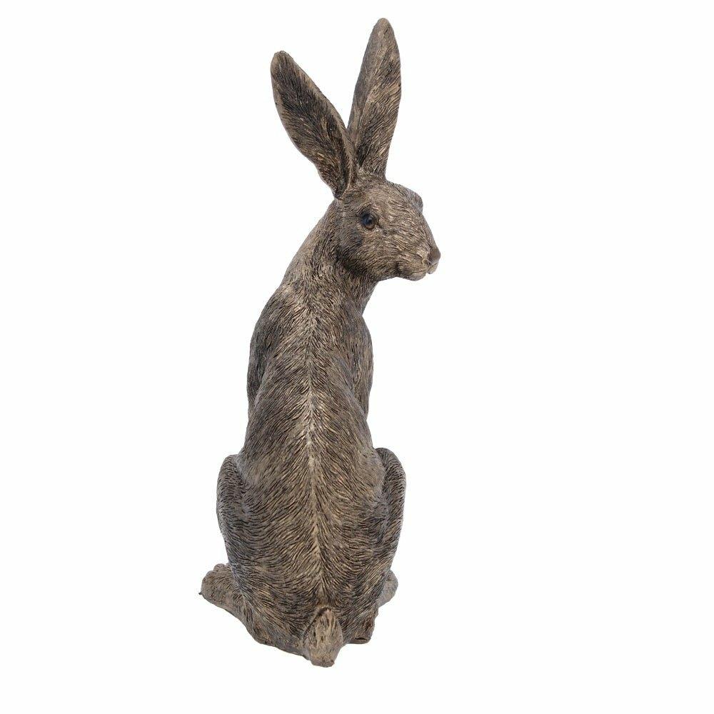 Sitting golden Hare
