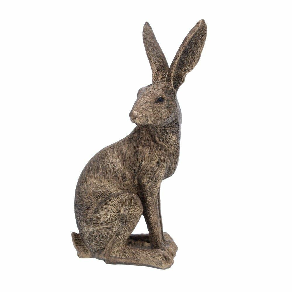 Sitting golden Hare