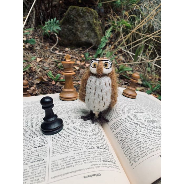 Wilson the Wise Owl