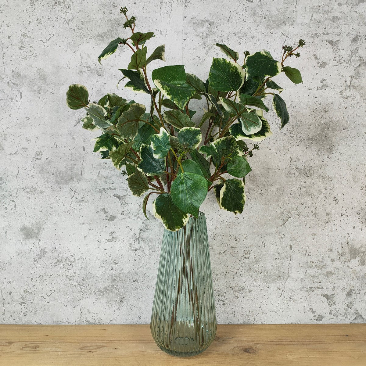 Multiple French Ivy variegated sprays styled in a fluted glass vase on a wooden surface