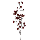 Artificial Burgundy Mini Morning Glory Spray featuring deep red blossoms and delicate brown stems against a white background