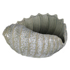Large celadon green ceramic shell showing textured sculptural ridges and an open interior.