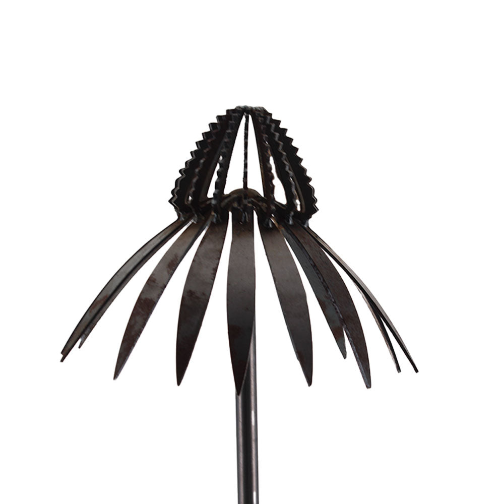 Echinacea on Stake