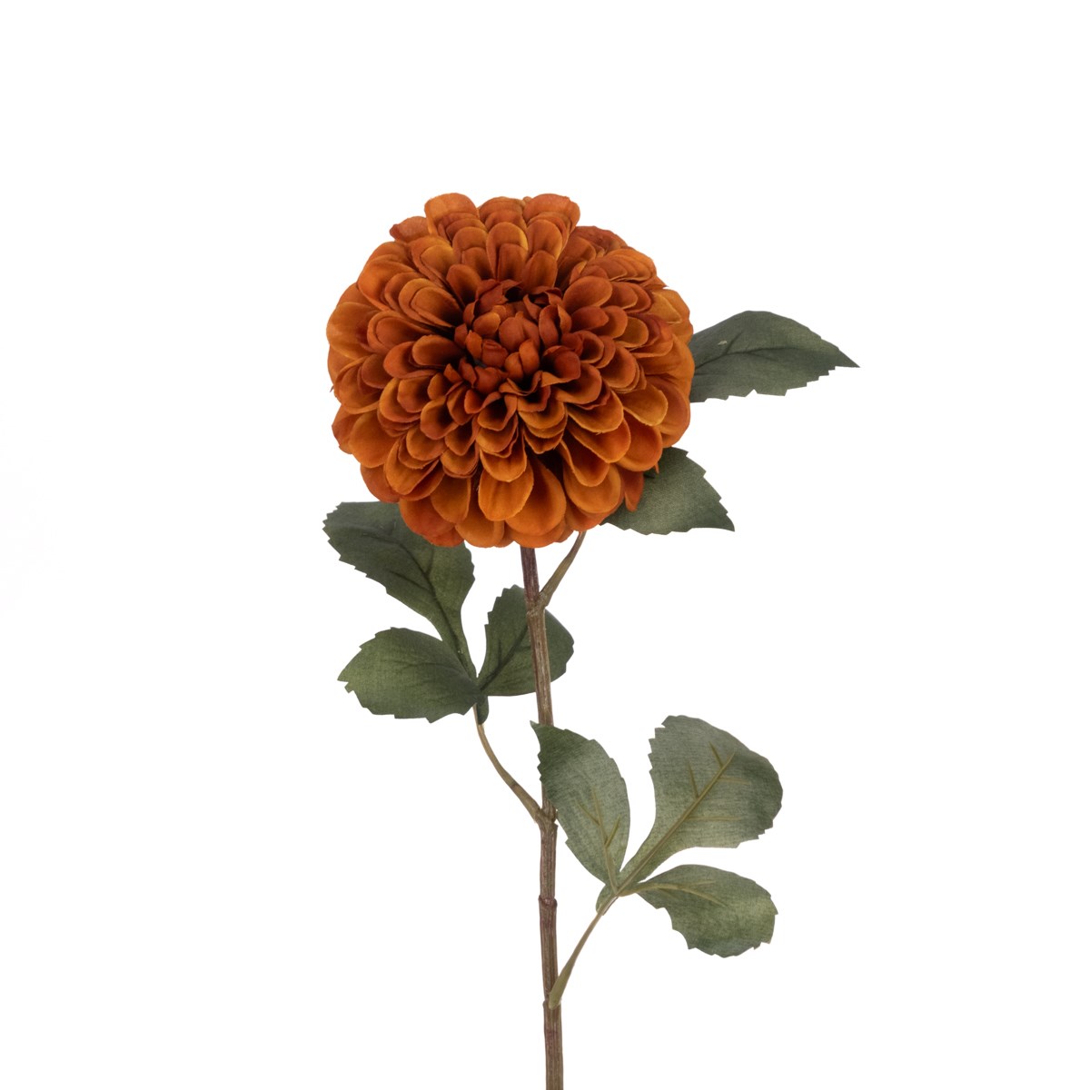 A single rust-coloured faux Dhalia stem with green leaves against a plain white background.