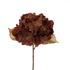 Faux autumn hydrangea stem with burnt orange and deep red multi-tonal petals against a white background.