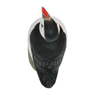 Atlantic Puffin Carving