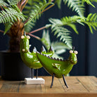 Baby Dragon, Green