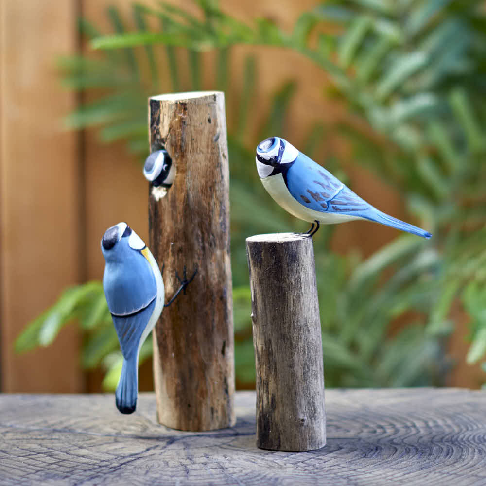 Blue Tit on a Stump