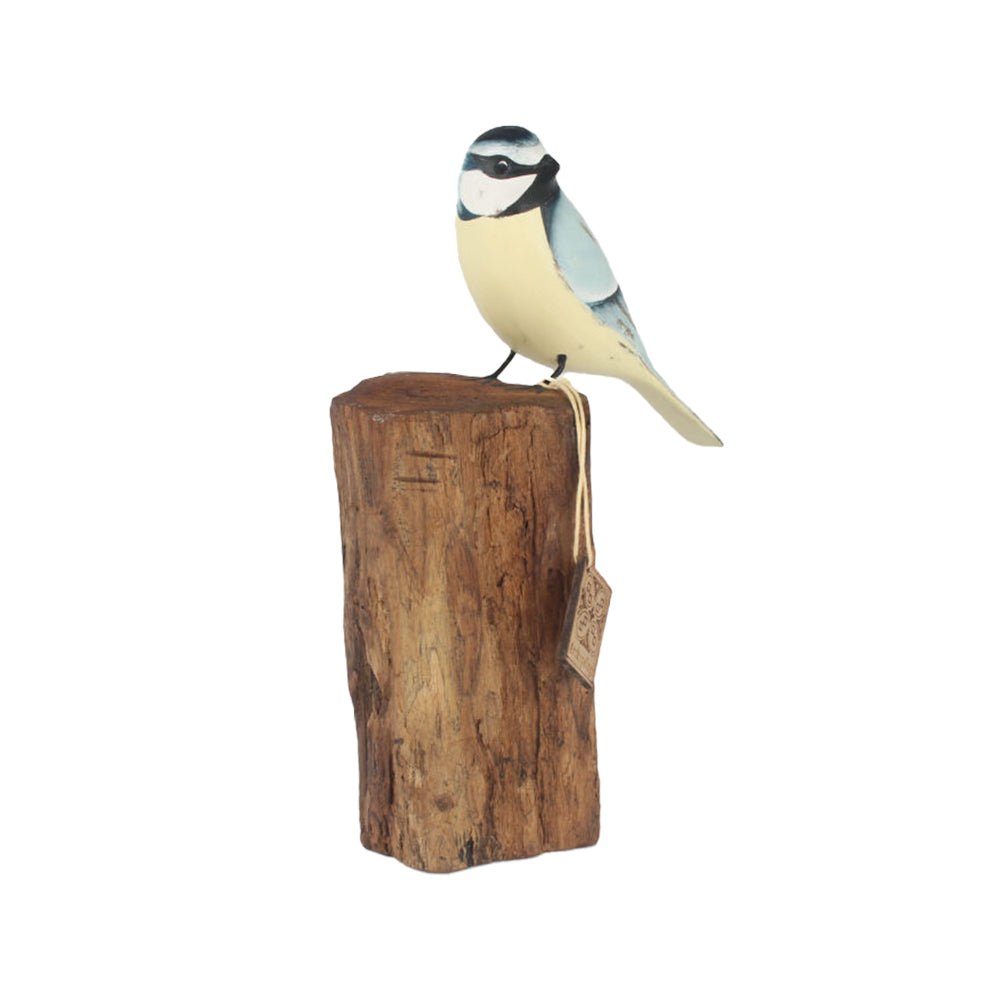 Blue Tit on a Stump