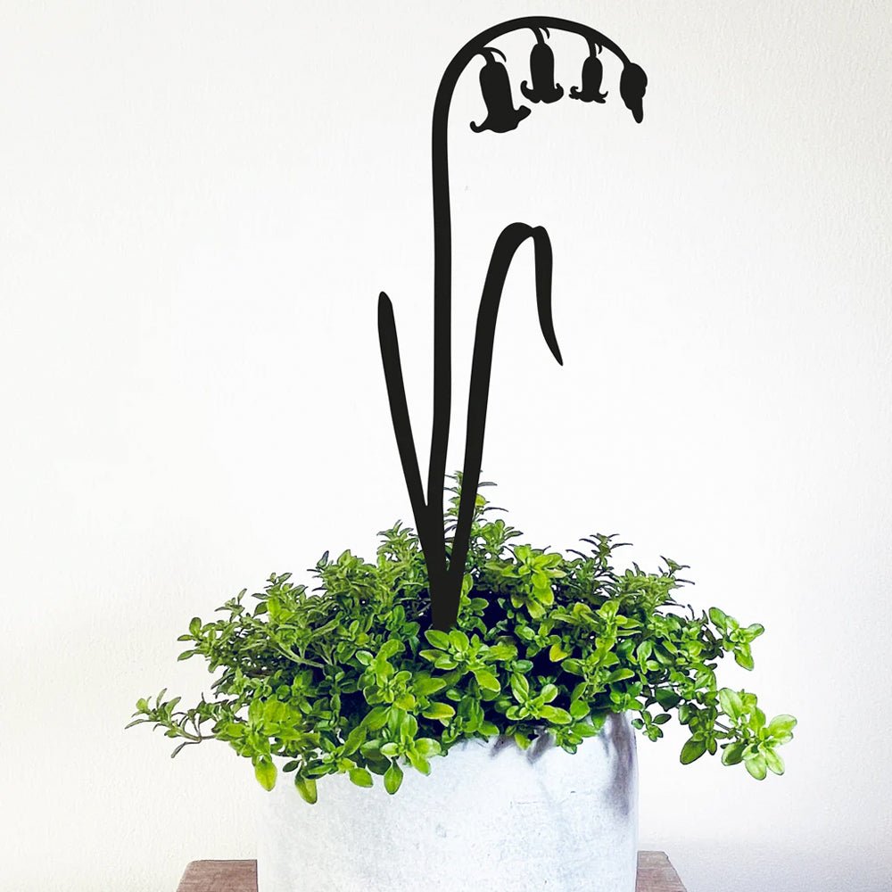 Bluebells Pot Stem