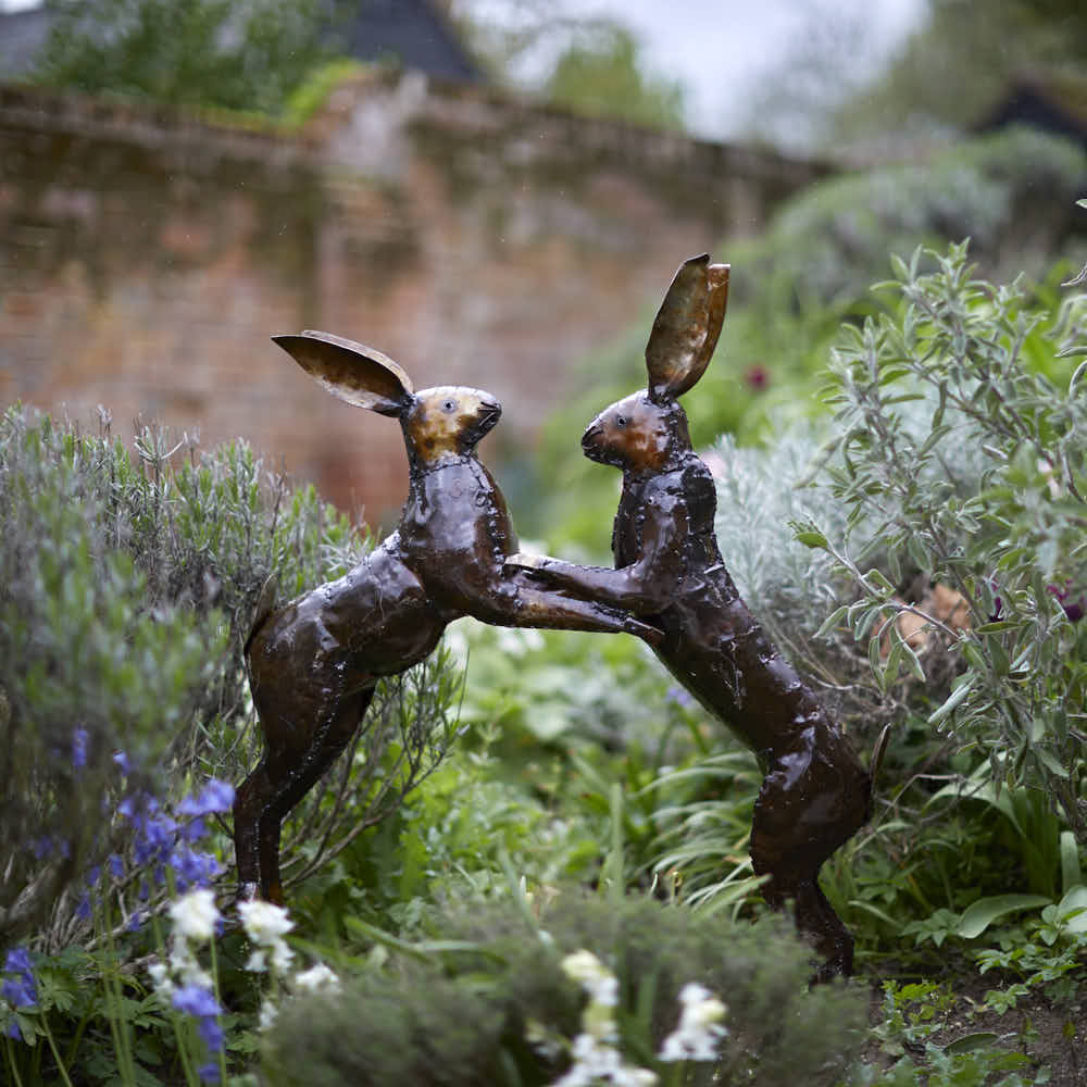 Boxing Hares