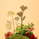 Brass Pot Stems, Bouquet