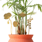 Brass Pot Stems, English Blooms