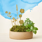 Brass Pot Stems, Herbs