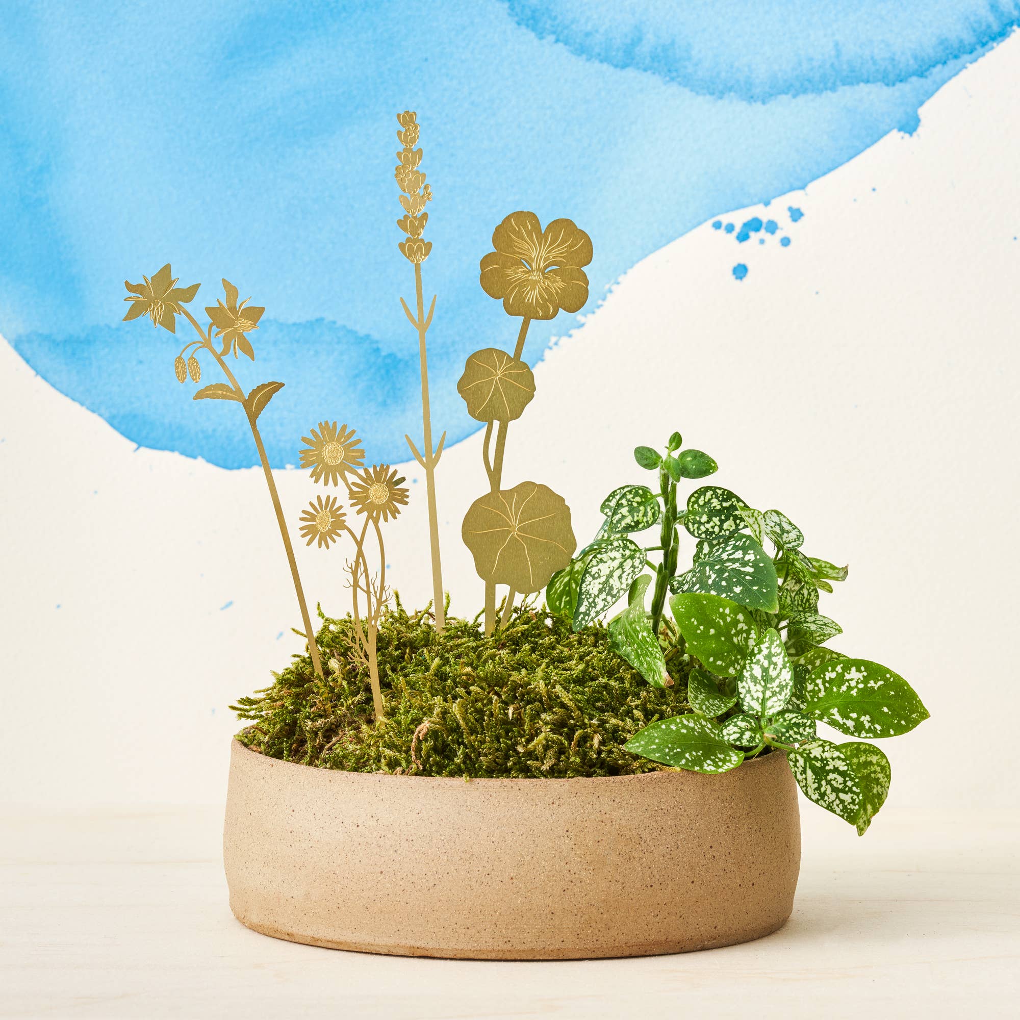 Brass Pot Stems, Herbs