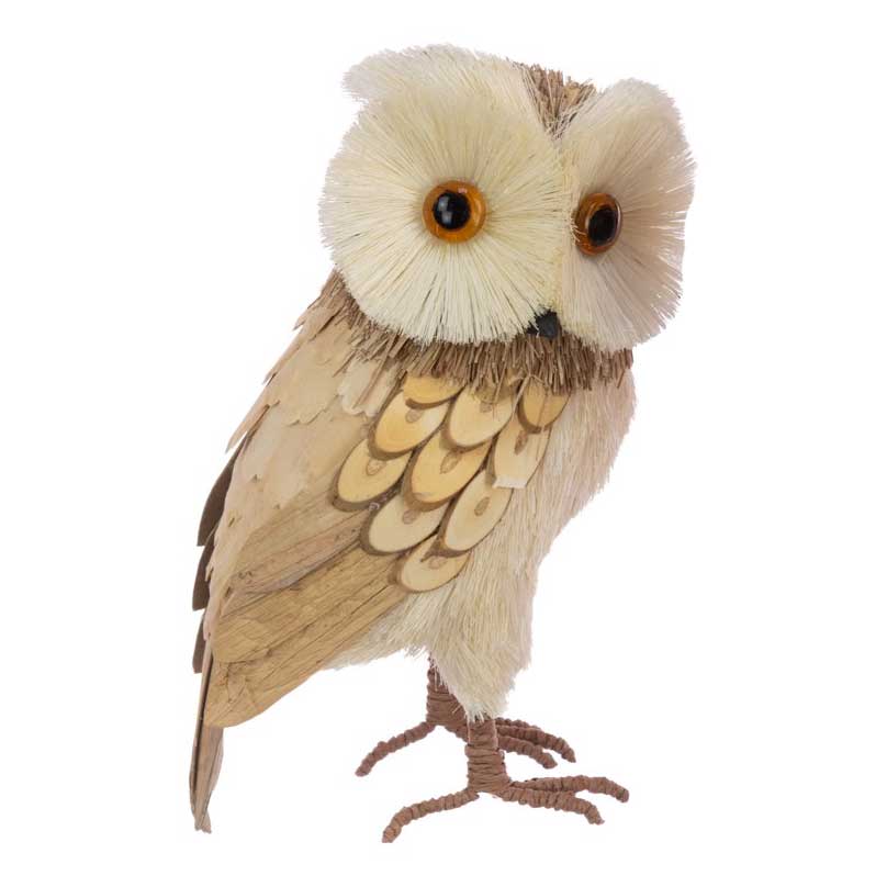 Bristle Owl, Large
