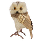 Bristle Owl, Large