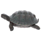 Garden Tortoise