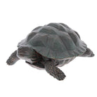 Garden Tortoise