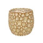 Ceramic Plant Pot, Natural Extra Large,Large,Small