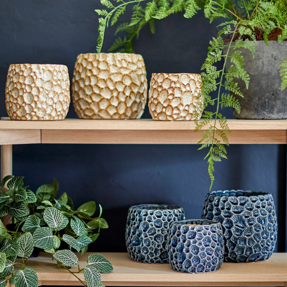 Ceramic Plant Pot, Natural Extra Large,Large,Small