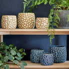 Ceramic Plant Pot, Natural Extra Large,Large,Small