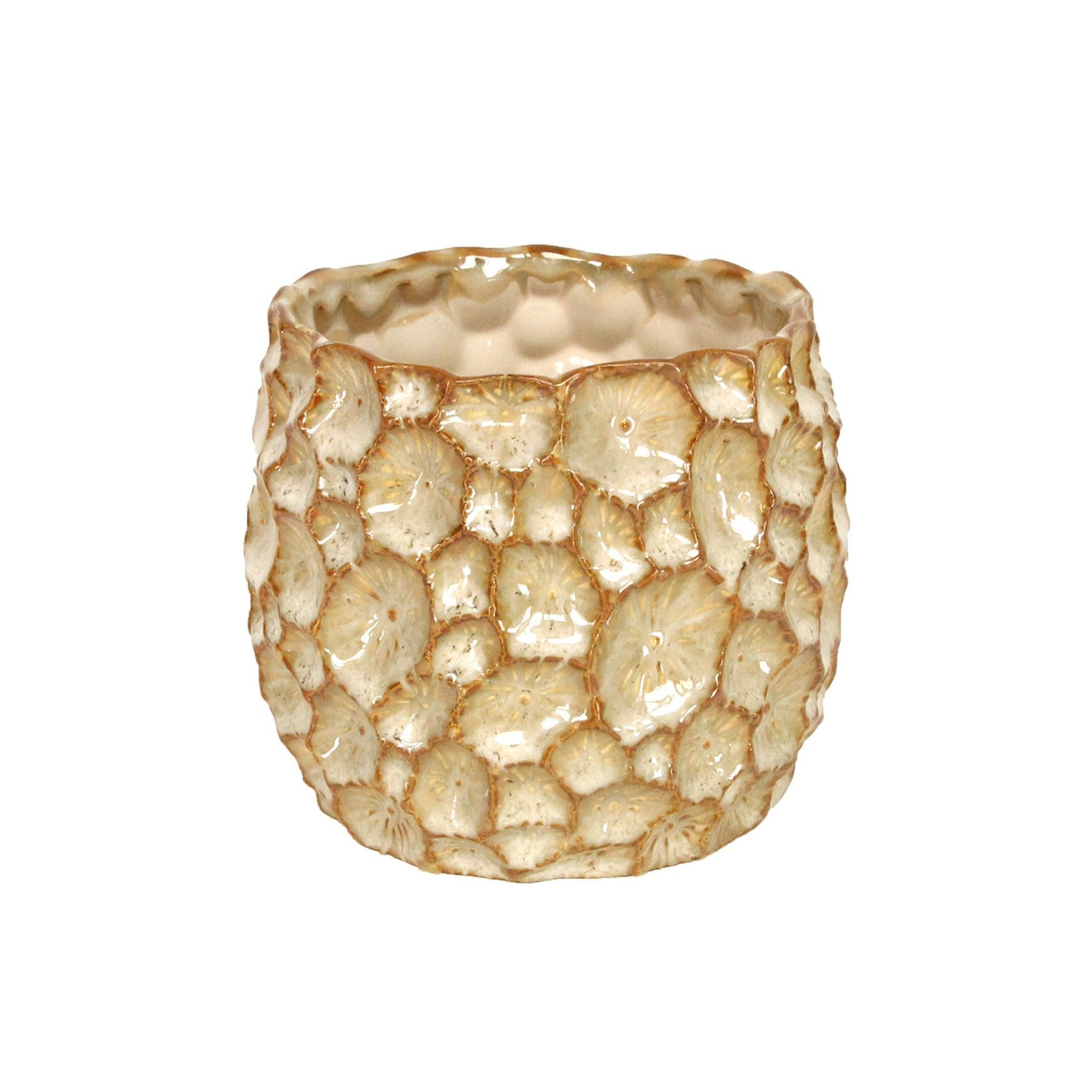 Ceramic Plant Pot, Natural Extra Large,Large,Small