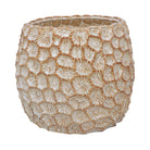 Ceramic Plant Pot, Natural Extra Large,Large,Small