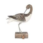 Curlew Preening