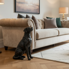 Lifestyle view of a large bronze labrador ornament placed on a wooden floor next to a plush cream sofa.