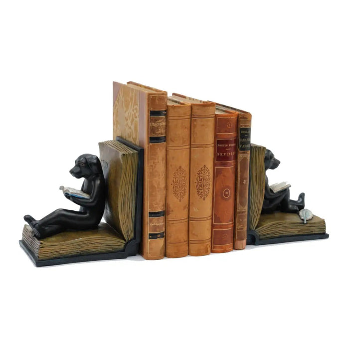 A pair of black dog reading bookends shown holding a row of vintage books on a white background.