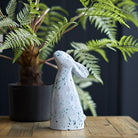 Dreaming Rabbit, Grey