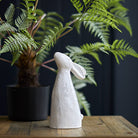 Dreaming Rabbit, White