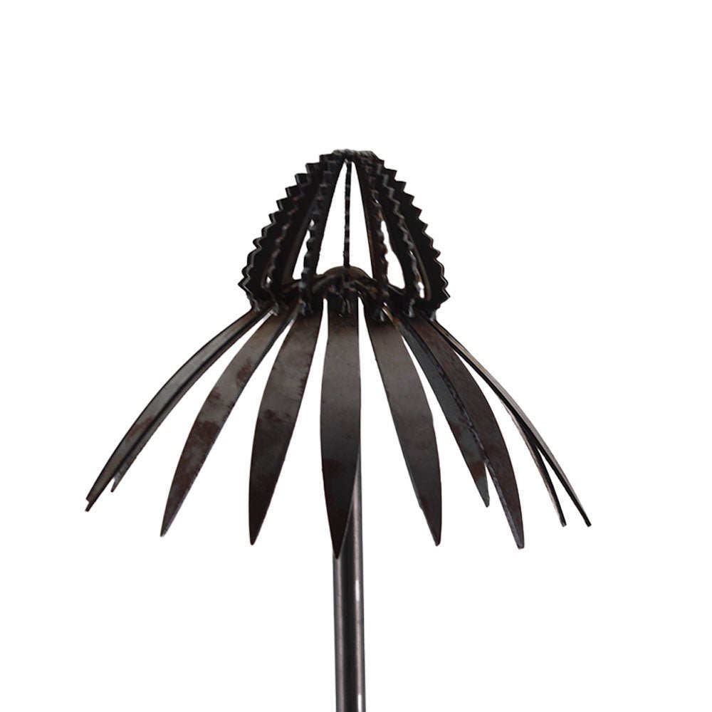 Echinacea on Stake