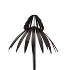 Echinacea on Stake