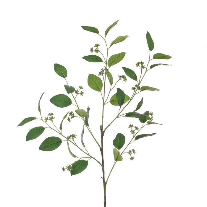 Eucalyptus Seeded Spray featuring green leaves and small seed heads against a plain white background