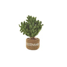 Felt Herb Decorations, Assorted - Angela Reed -
