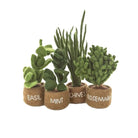 Felt Herb Decorations, Assorted - Angela Reed -