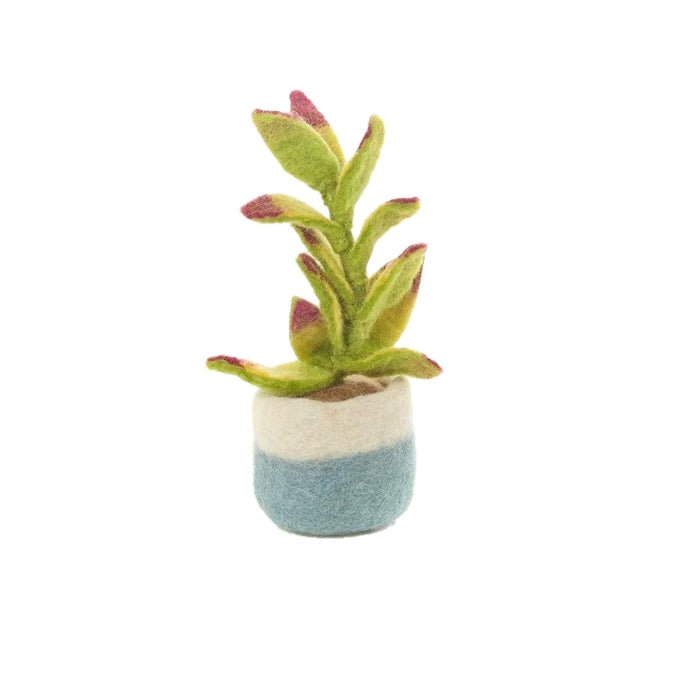 Felt Houseplant Cactus Decorations, Assorted - Angela Reed -