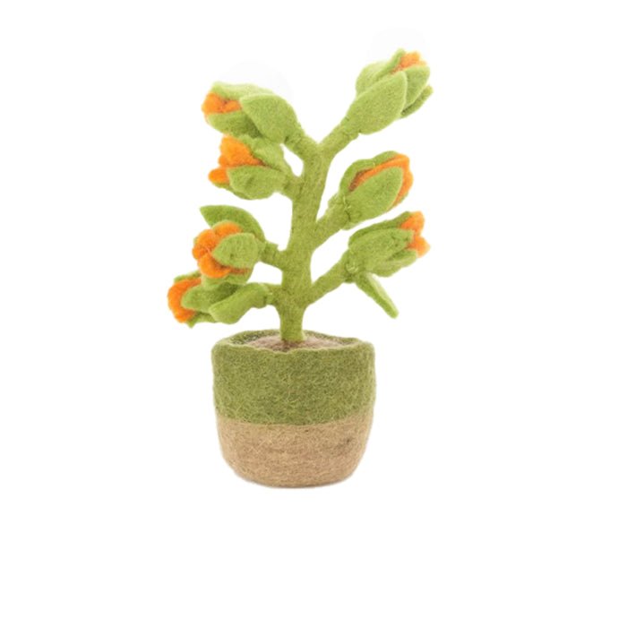 Felt Houseplant Cactus Decorations, Assorted - Angela Reed -
