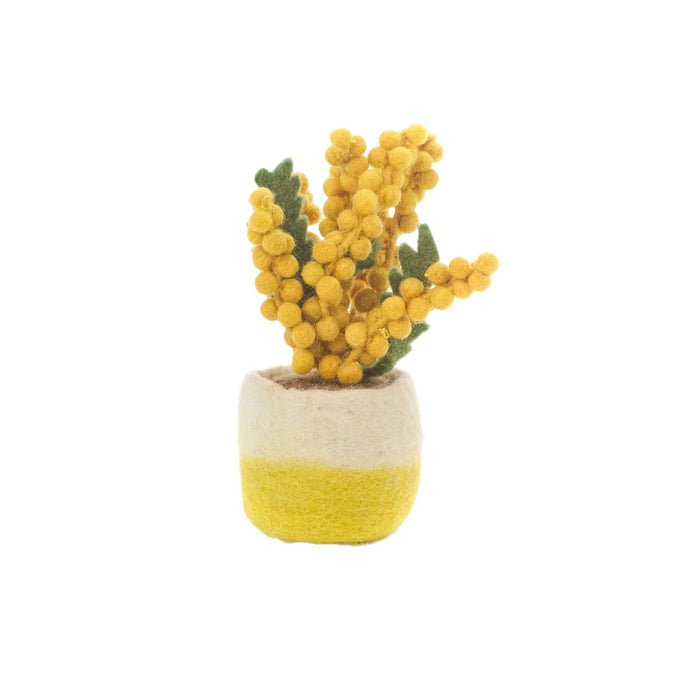 Felt Houseplant Cactus Decorations, Assorted - Angela Reed -