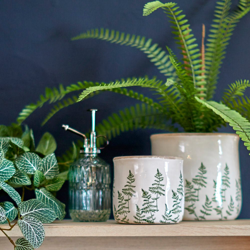 Fern Pot, Small
