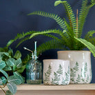 Fern Pot, Small