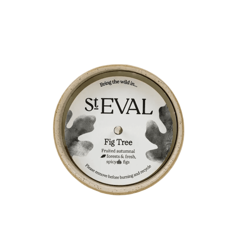 Fig Tree, Sea & Shore Pot